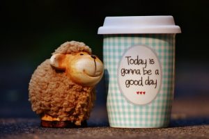 Don’t Give Up Before You Need